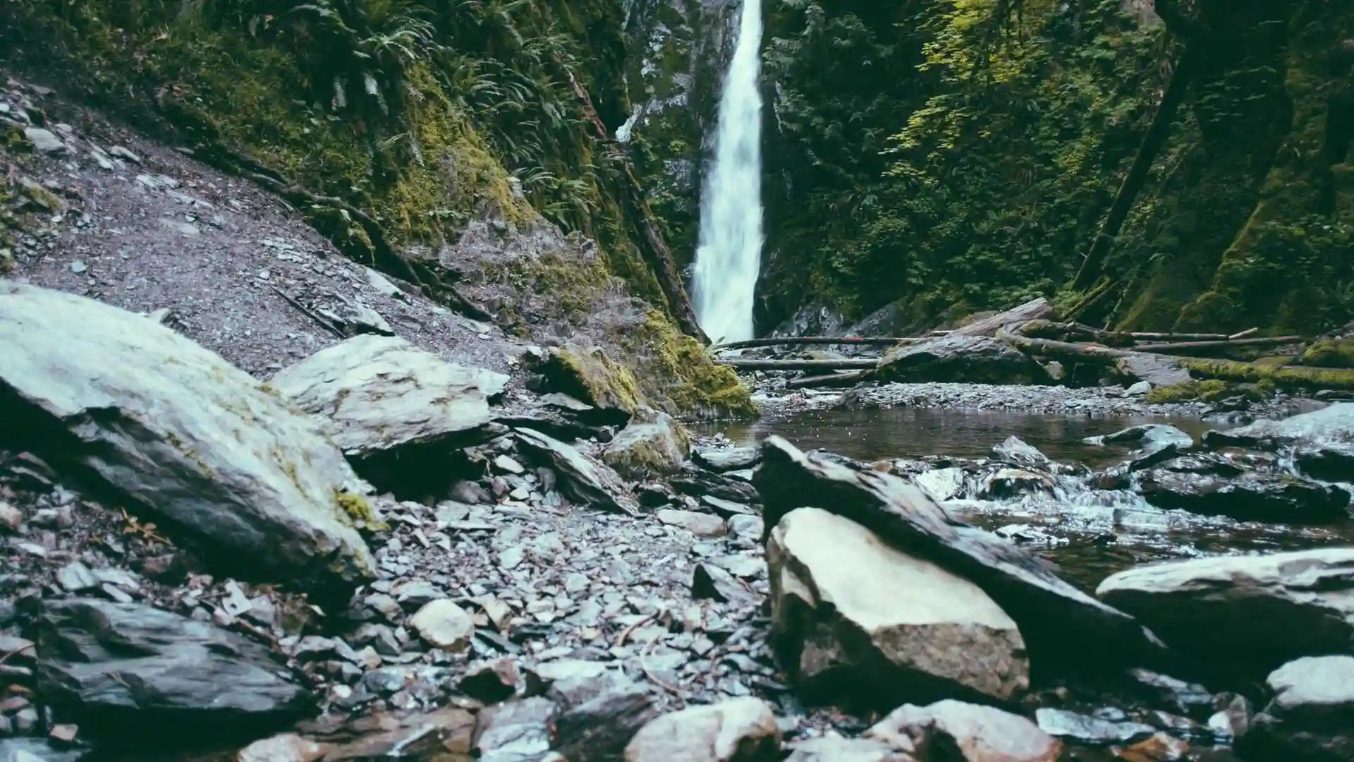 美丽的海滩风景